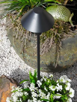 APOLLO 2in1 Pollare 65cm Svart IP44
