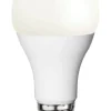 E27 Normal 14W 2700K 1521lm Opal/vit LED-Lampa
