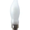 E10 Reservlampa 2-pack Micro 230V Frostad