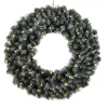 EDMONTON Krans 70cm 60LED IP44 Grön