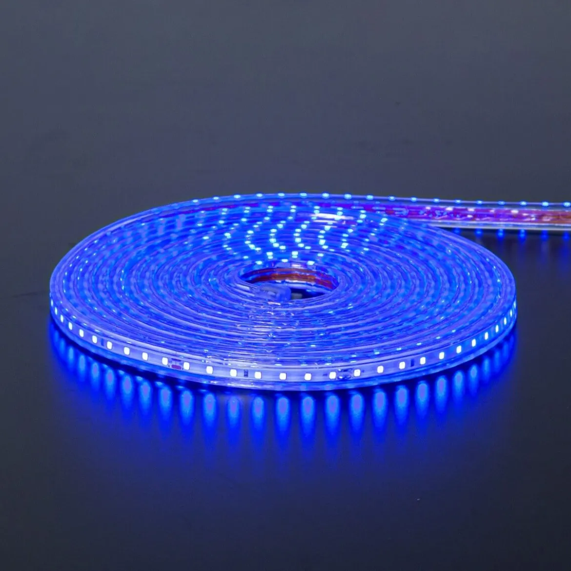 FLATSMDLED Ljusslang 5m 480LED Blå/Transparent