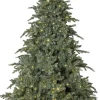 GREYLAND Julgran 210cm 700L Grön