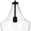 HAMHAMILTON Taklampa 30cm Klar/Svart