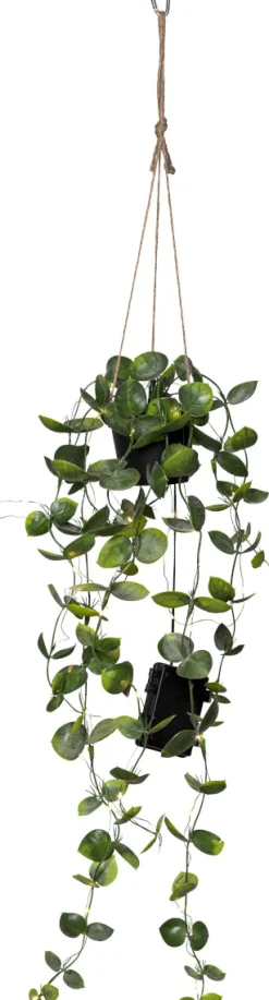 LAOS Konstväxt 60cm Grön